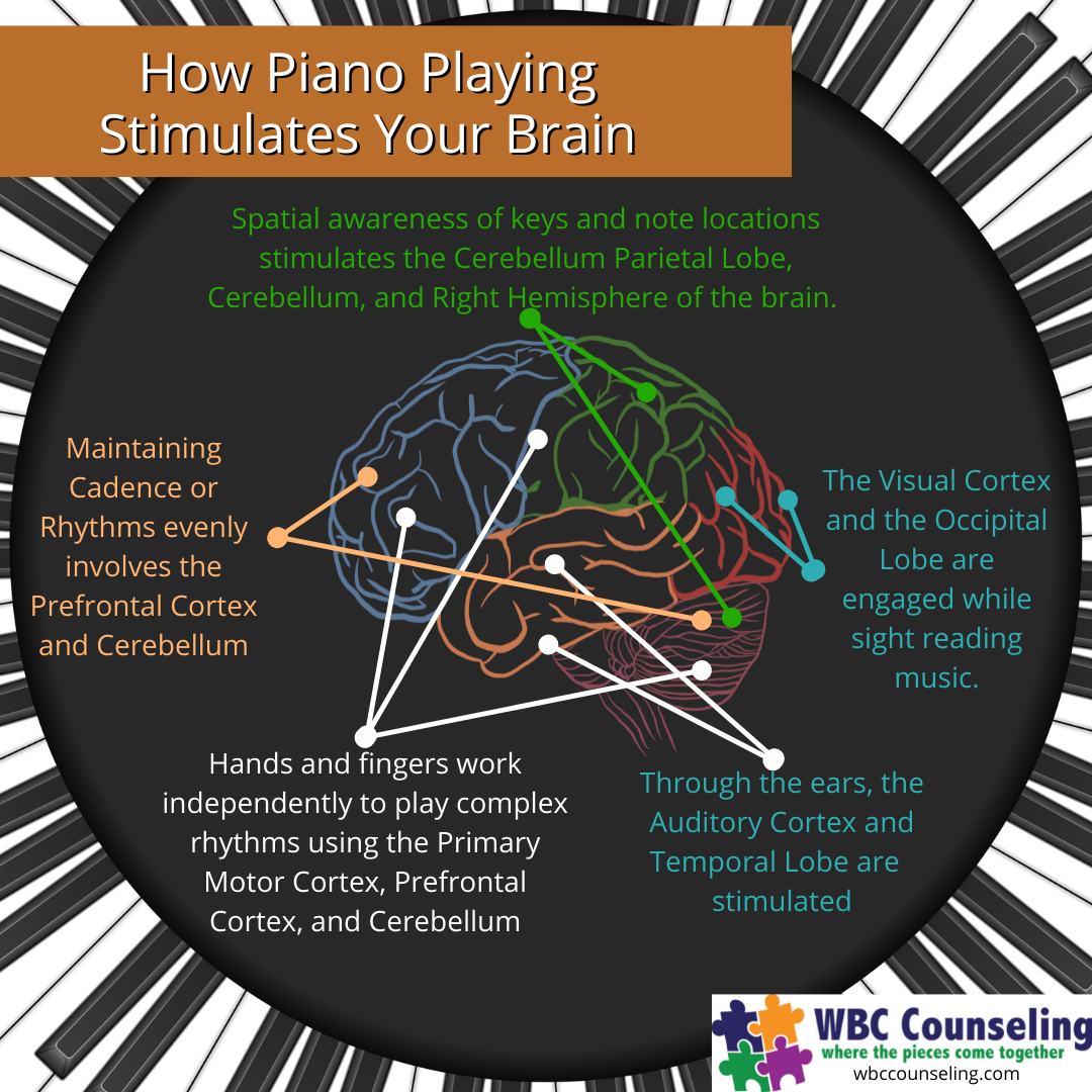 A infographic about how piano playing stimulates the brain