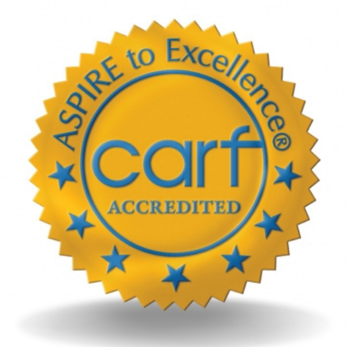 CARF Accredited Therapy Services in Michigan